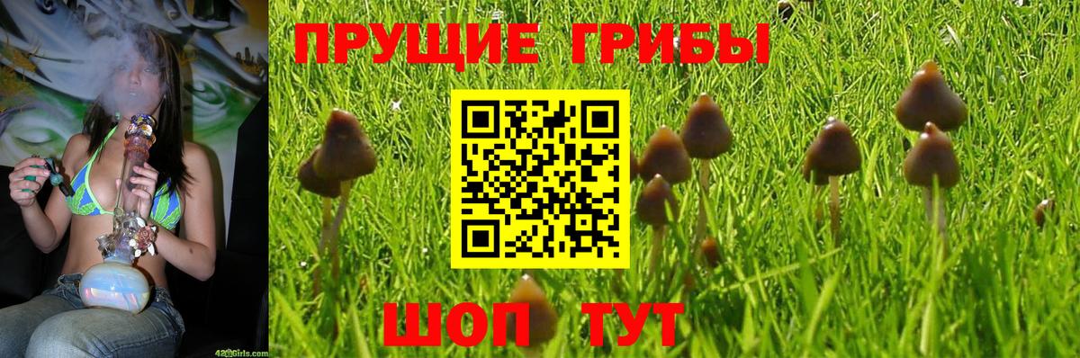 Галлюциногенные грибы мицелий Добрянка